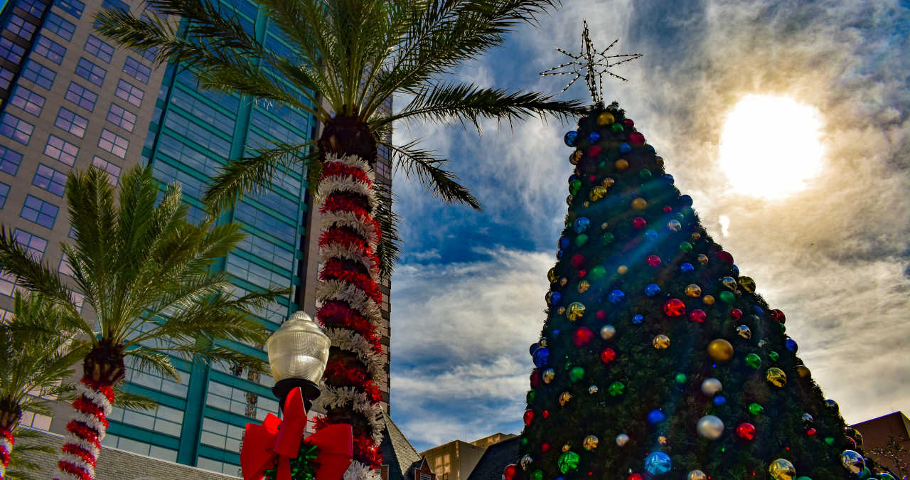 Inverno em Orlando: O que fazer, como é o clima em Orlando e mais!