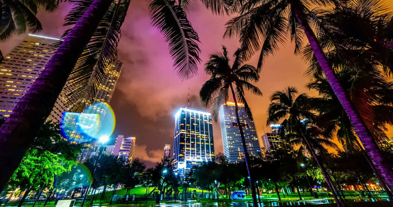 Vida noturna em Miami: o que fazer na noite mais badalada da Flórida