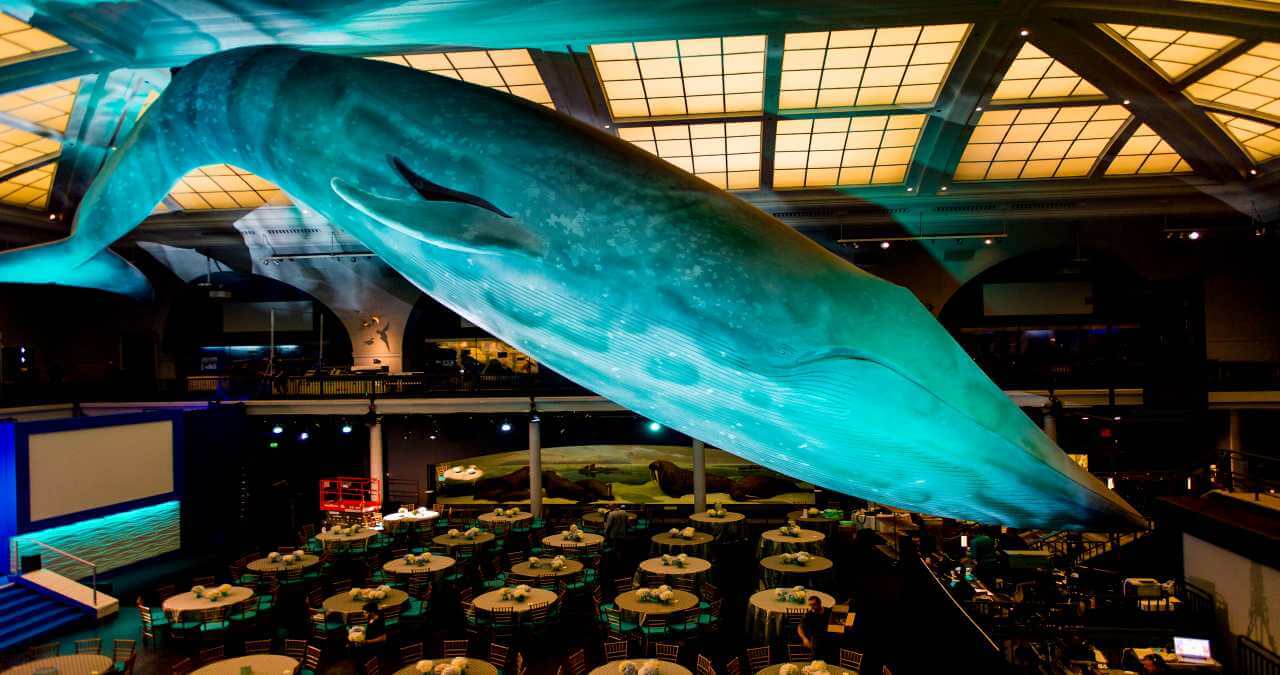 Museu de História Natural Nova York: Horários, onde fica e mais!