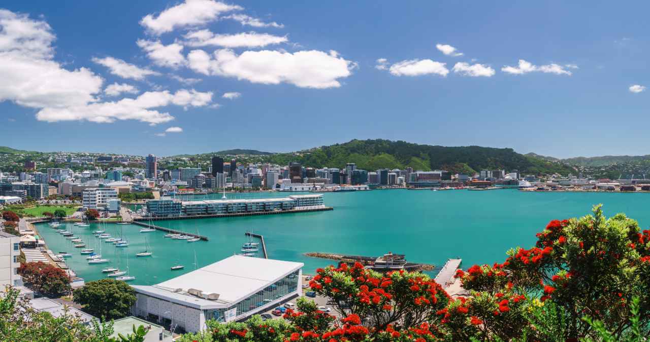 Wellington Nova Zelândia: Conheça a capital da Nova Zelândia!